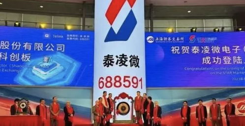 全球第二大低功耗藍牙芯片公司上市，大基金與小米成為關鍵股東，加速物聯(lián)網(wǎng)技術新時代
